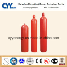 Cilindro de gas de dióxido de carbono de acero inoxidable sin soldadura con diferentes capacidades